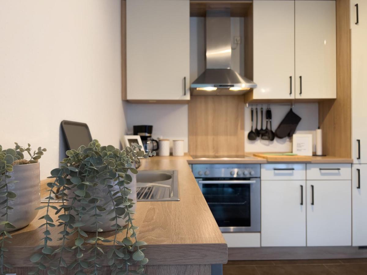 Zentral. Stylisch. Toni House Mit Viel Platz! Villa Lingen Buitenkant foto